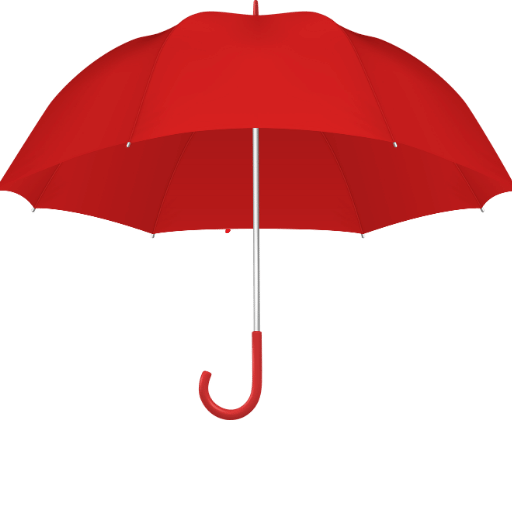 Baodini Umbrella Contact Form